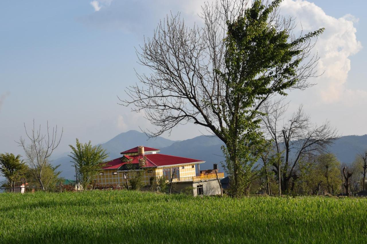 Bir Nest Hostel Zewnętrze zdjęcie